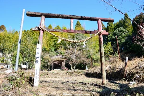 質素な鳥居