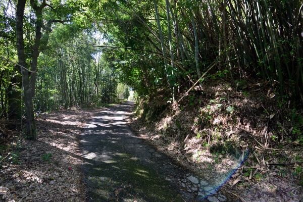 山城跡の風景