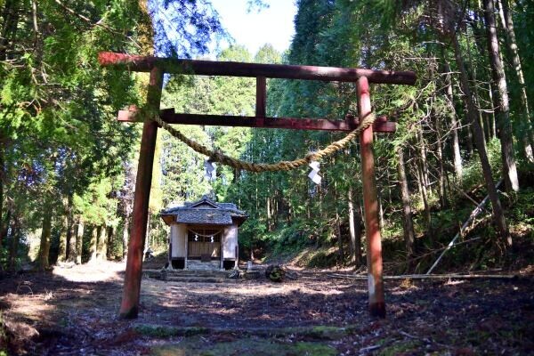 木立の中に神社