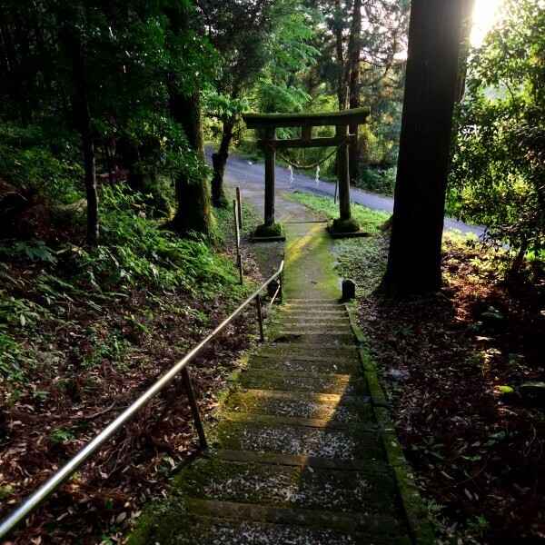 石段と鳥居