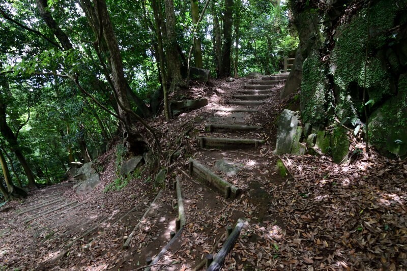 山中をのぼる