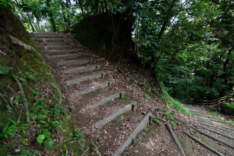 山中の階段