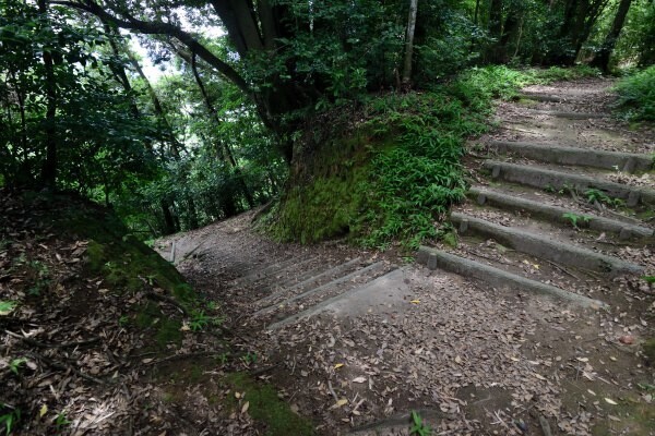 山中の階段