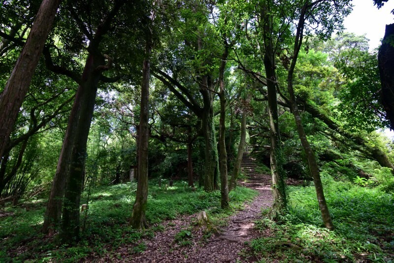 山城の曲輪跡