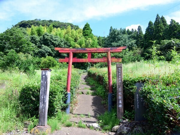 鳥居と参道