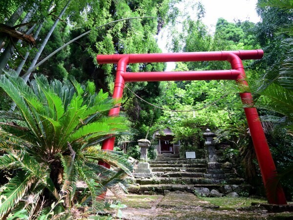 朱の鳥居と石段とソテツ