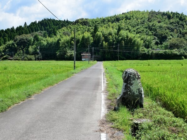 農道と田の神