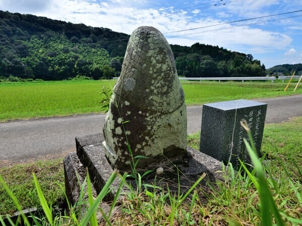 新開の田の神、青田が広がる風景の中に／鹿児島県姶良市加治木町小山田