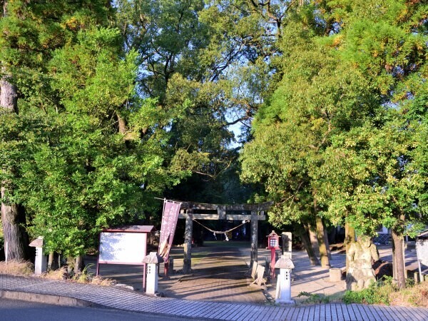 木々に囲まれた神社