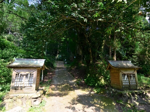 参道を登る