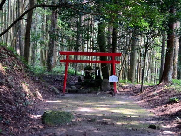 森の中の鳥居と石祠