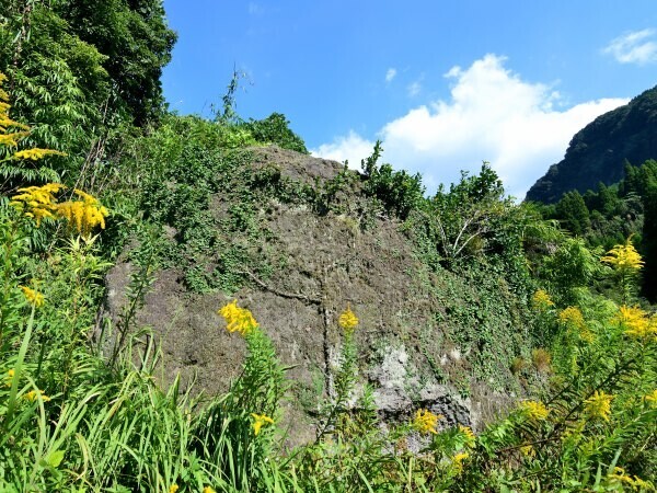 大きな岩がある