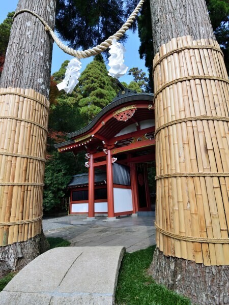 二本の木の向こう側に