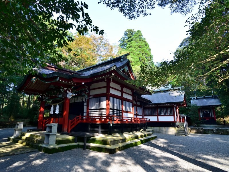 緑の中に朱が映える