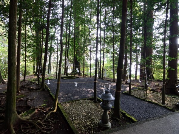 結果が張られている