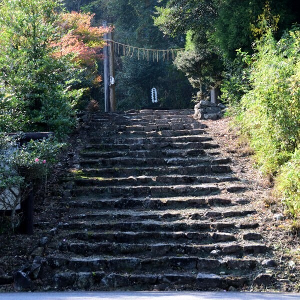 神社へ続く道があった