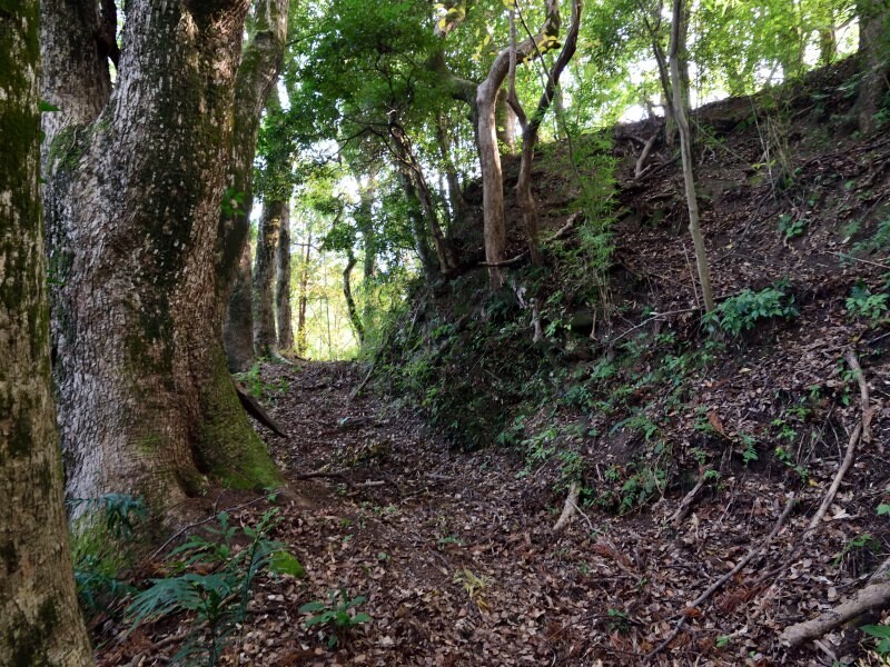 山城跡の風景