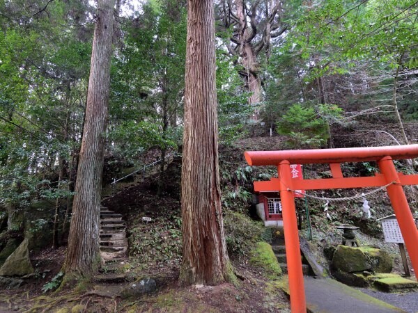 山へ