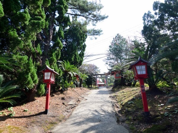 のぼっていく
