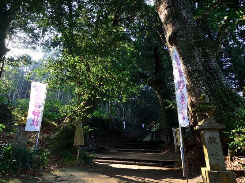 霧島岑神社の参道