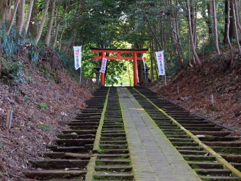 霧島岑神社の参道