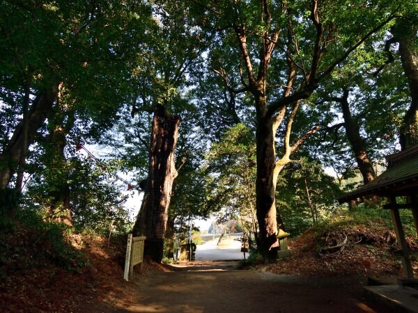 霧島岑神社の参道