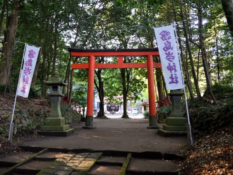 森の中の鳥居