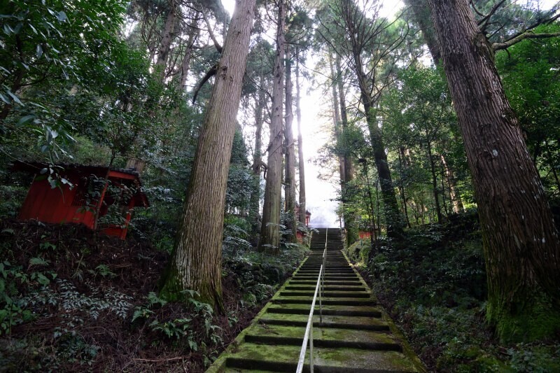 木立の中に続く石段