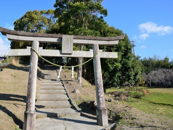鳥居と参道