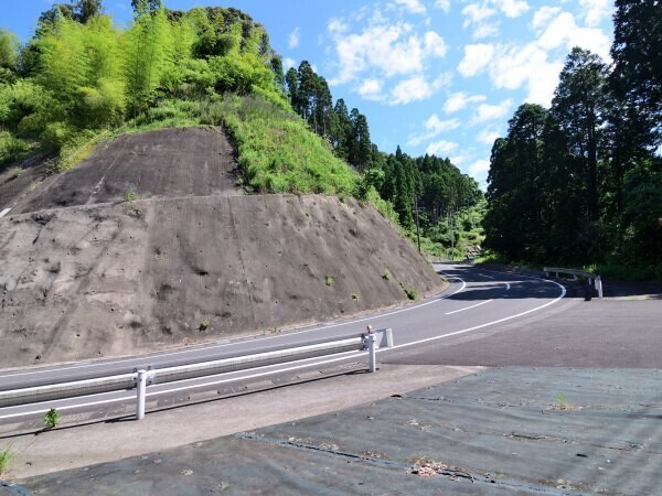 道路沿い