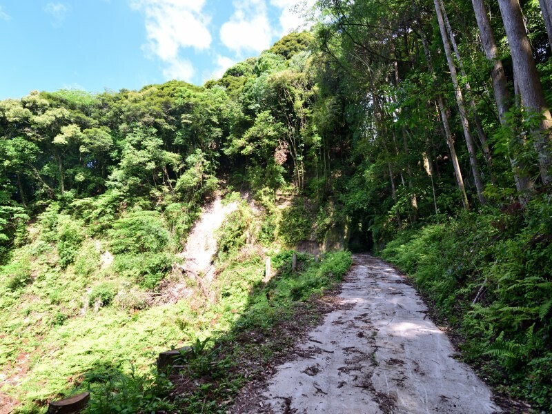 山城跡の風景