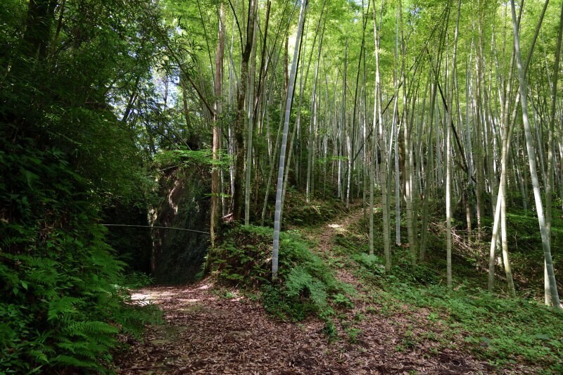 山城の道