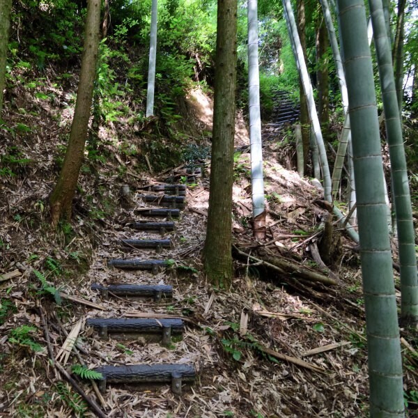 山城の道