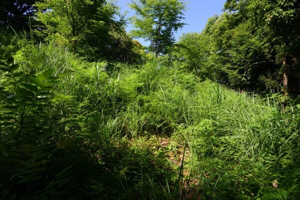城の頂上