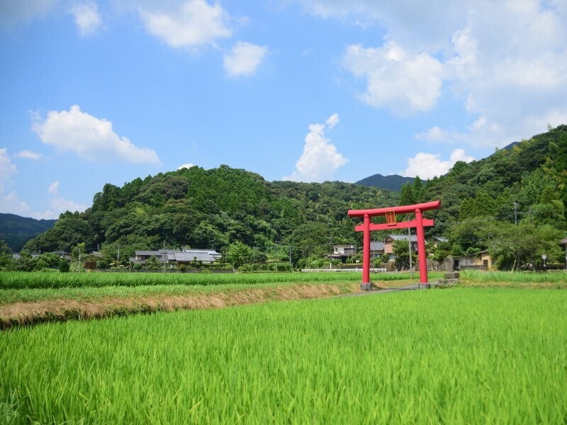 田園風景に鳥居