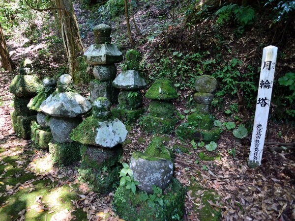 古いものだ