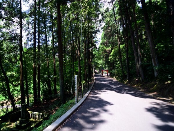 花尾神社の参道
