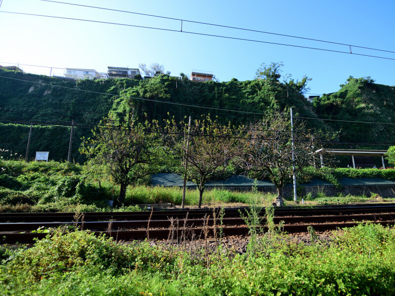 駅のホーム