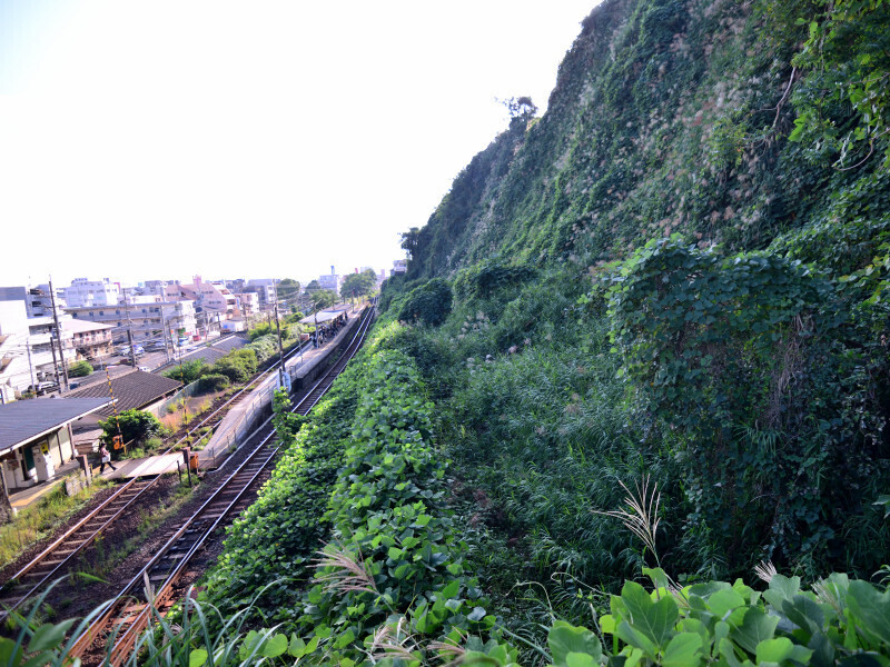 駅を見おろす