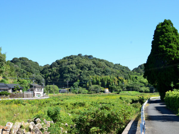 川越しに山城
