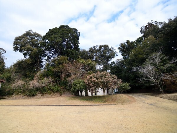 グラウンドから城跡を見る