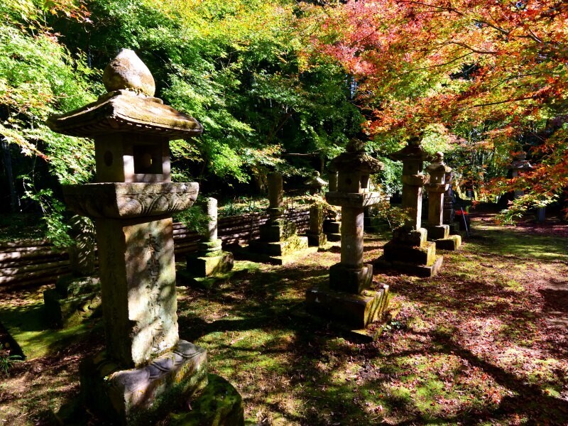 紅葉の道隆寺跡