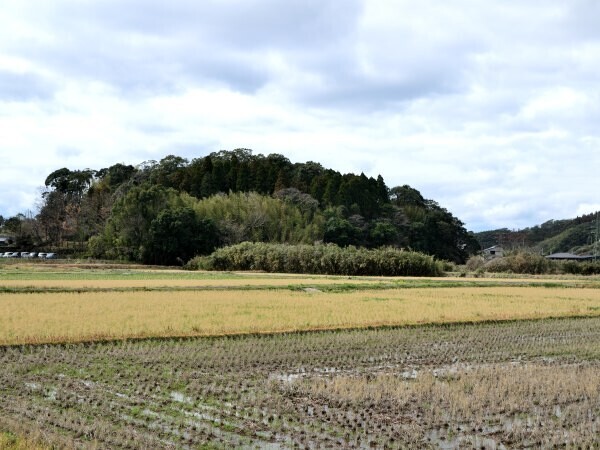 大中公廟の前から