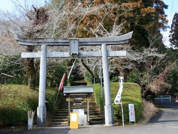鳥居と石段