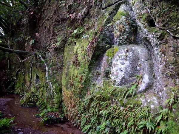 清泉寺跡摩崖仏