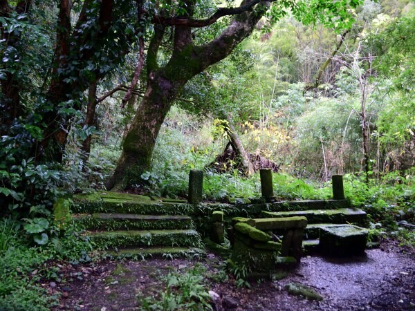 清泉寺