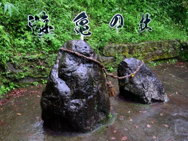 遊亀の杜
