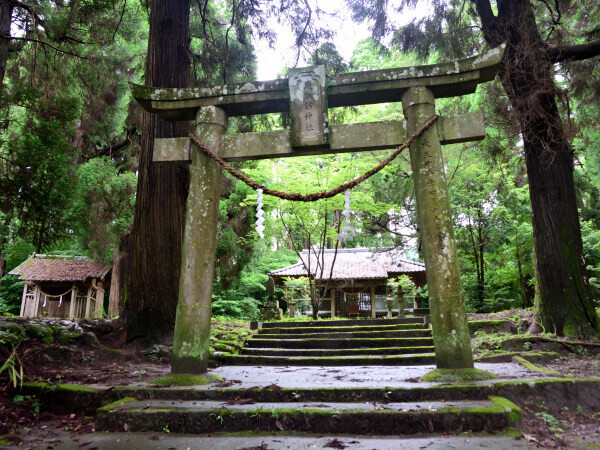 飛諏訪神社
