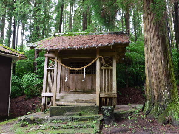 飛諏訪神社
