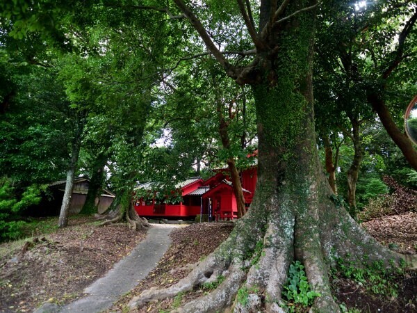 宮坂神社